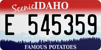 ID license plate E545359