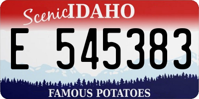 ID license plate E545383