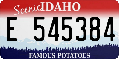 ID license plate E545384