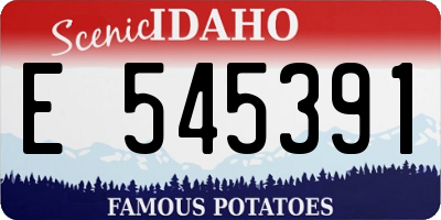 ID license plate E545391