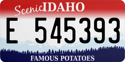 ID license plate E545393