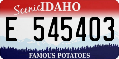 ID license plate E545403