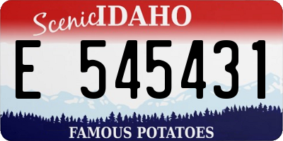 ID license plate E545431