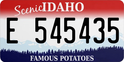 ID license plate E545435