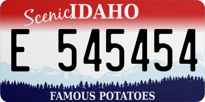 ID license plate E545454