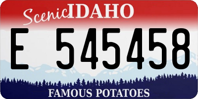 ID license plate E545458