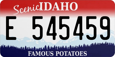 ID license plate E545459