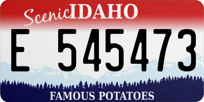 ID license plate E545473