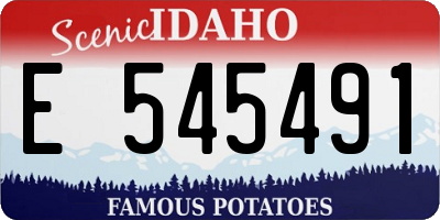 ID license plate E545491
