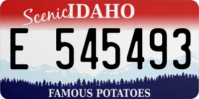 ID license plate E545493
