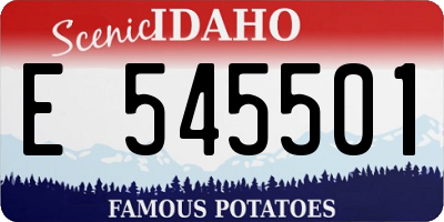 ID license plate E545501