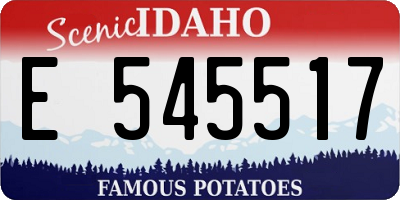 ID license plate E545517