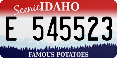ID license plate E545523