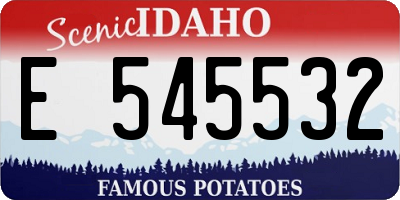 ID license plate E545532