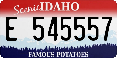 ID license plate E545557