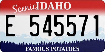 ID license plate E545571