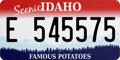 ID license plate E545575