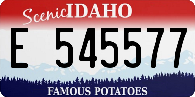 ID license plate E545577