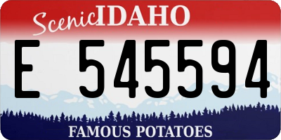 ID license plate E545594