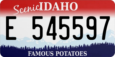 ID license plate E545597