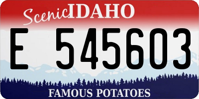 ID license plate E545603