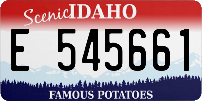 ID license plate E545661