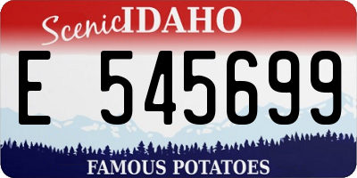 ID license plate E545699