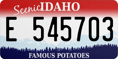 ID license plate E545703