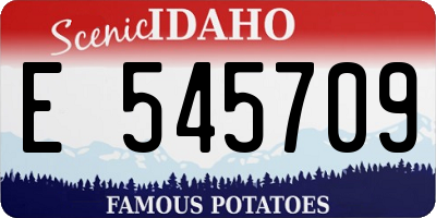 ID license plate E545709