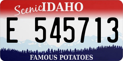 ID license plate E545713