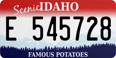 ID license plate E545728