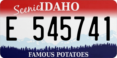 ID license plate E545741