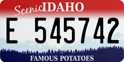 ID license plate E545742