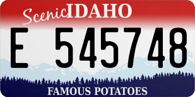 ID license plate E545748