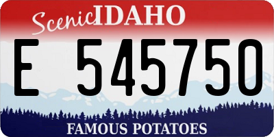 ID license plate E545750