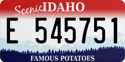 ID license plate E545751