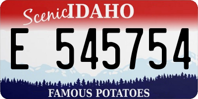 ID license plate E545754