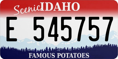 ID license plate E545757