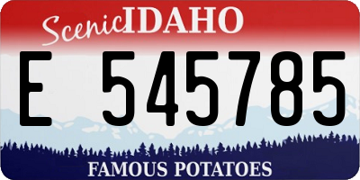 ID license plate E545785