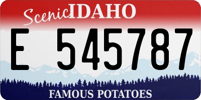 ID license plate E545787