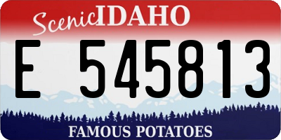 ID license plate E545813