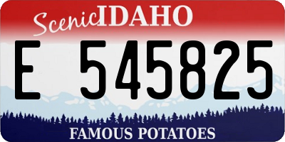 ID license plate E545825