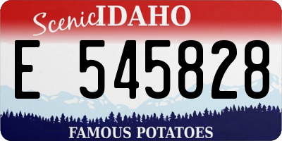 ID license plate E545828