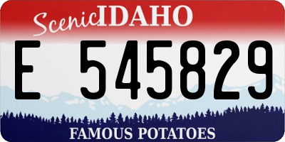 ID license plate E545829