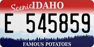ID license plate E545859