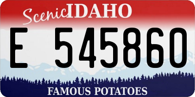 ID license plate E545860