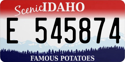 ID license plate E545874
