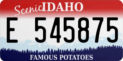 ID license plate E545875