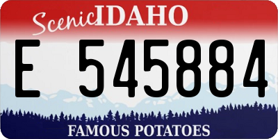 ID license plate E545884