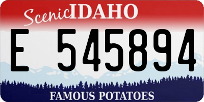ID license plate E545894